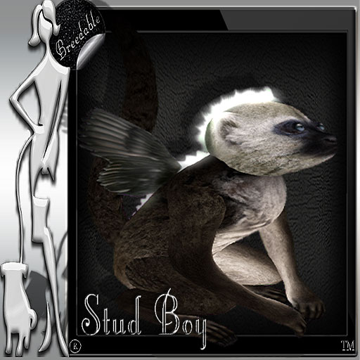 stud-boy.jpg