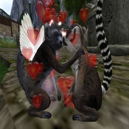 Lemur Love 2.jpg
